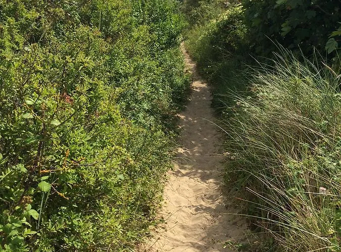 Les Pieds Dans L'eau 3*